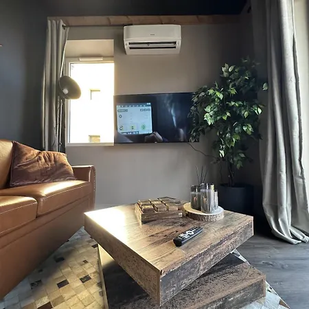 Le Austin - T2 - Balcon Vue Saone, Climatisation & Ranch Apartment *