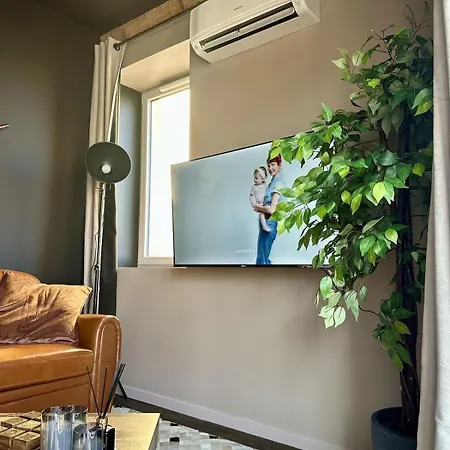 Le Austin - T2 - Balcon Vue Saone, Climatisation & Ranch Apartment